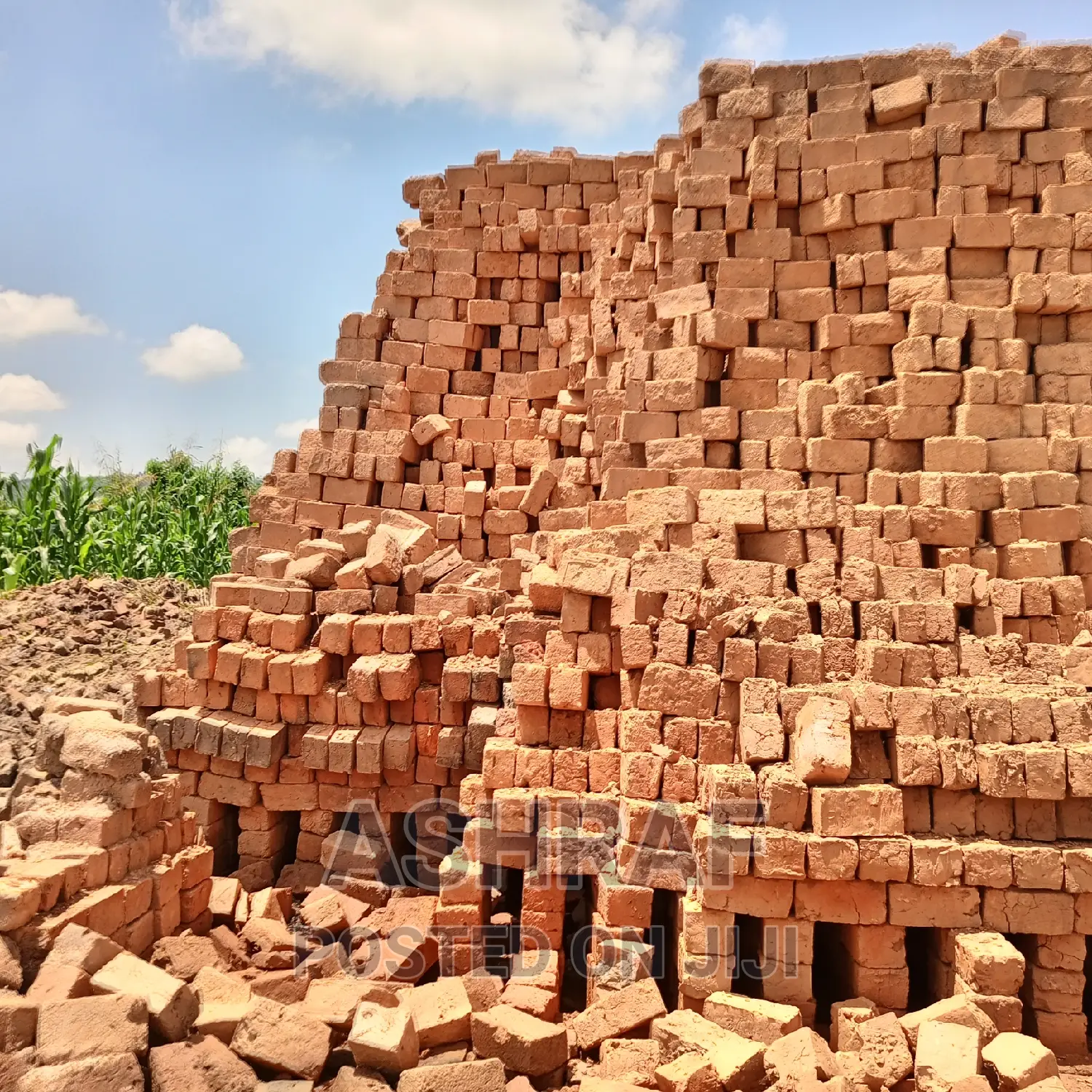 Building Solid Clay Bricks