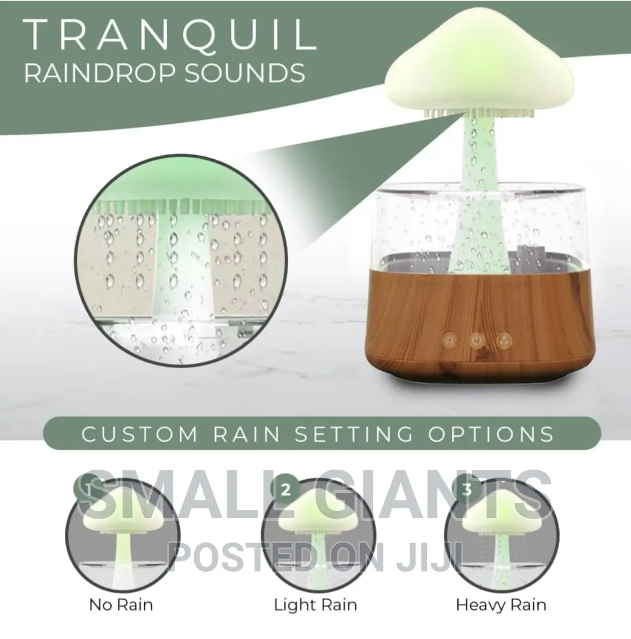 Rain Cloud Humidifier