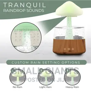 Rain Cloud Humidifier