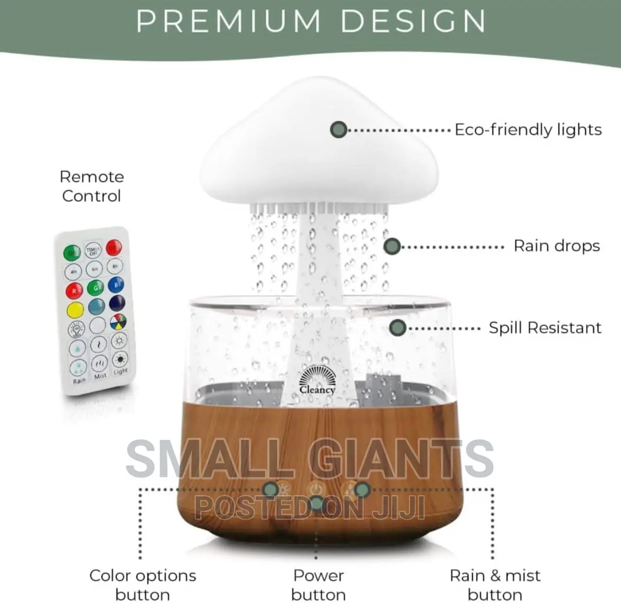 Rain Cloud Humidifier