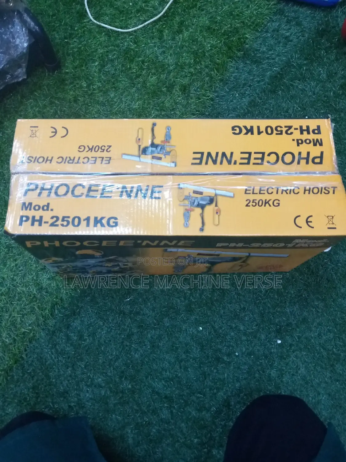 Electric Hoist 250kg