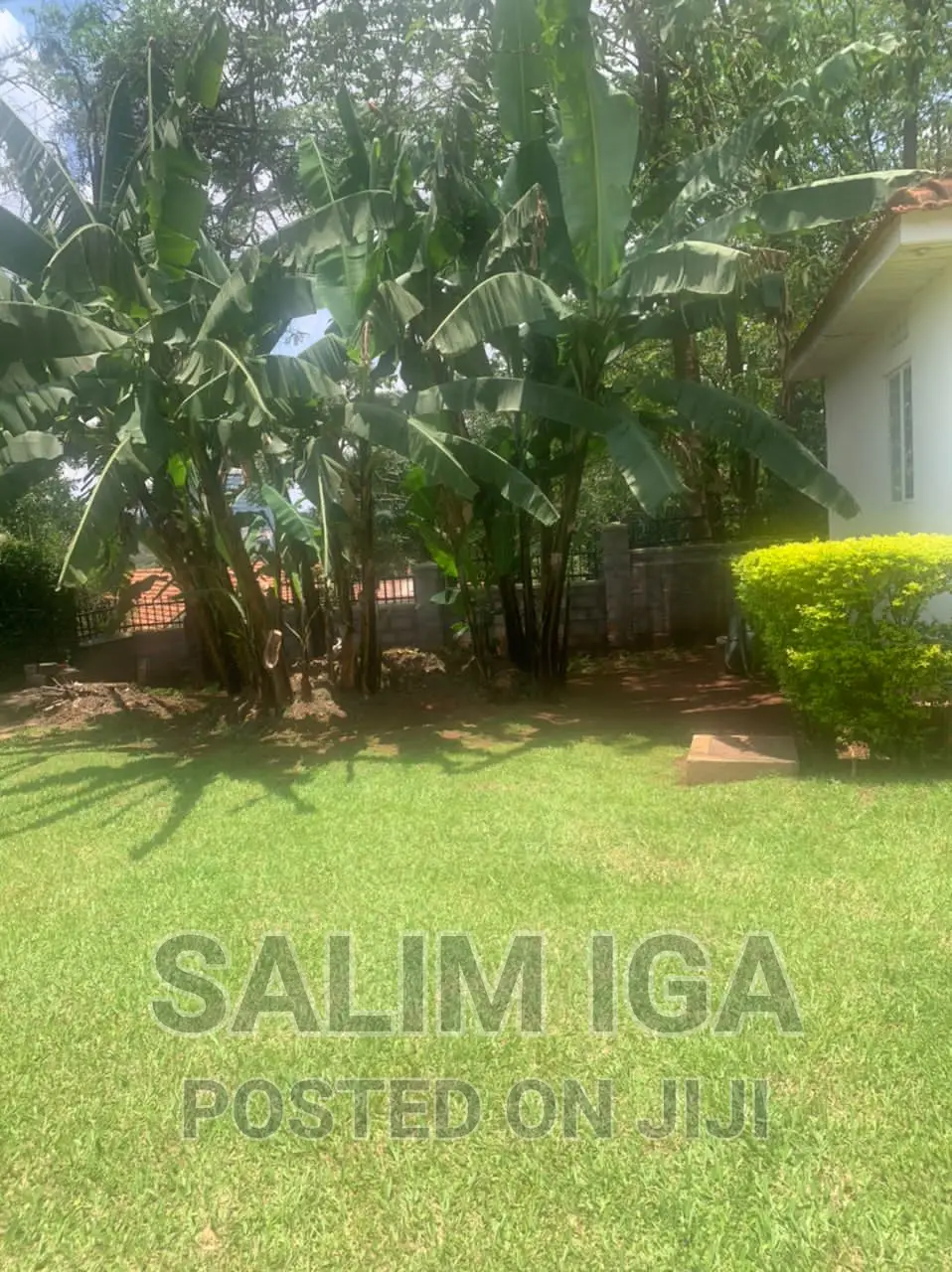 4bdrm Bungalow in Kololo Property, Central Division for rent