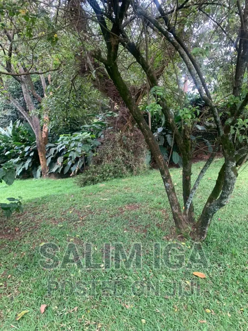 4bdrm Bungalow in Kolo Property, Central Division for rent
