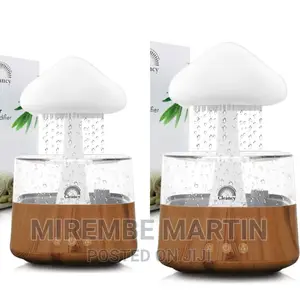Portable Rain Cloud Humidifier
