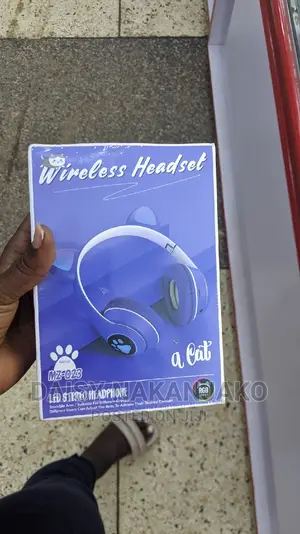 Cat Kids Headphones