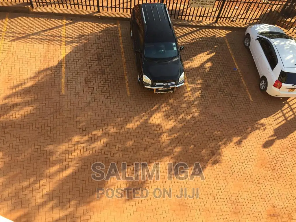Furnished 1bdrm Block of Flats in Kololo Property, Central Division