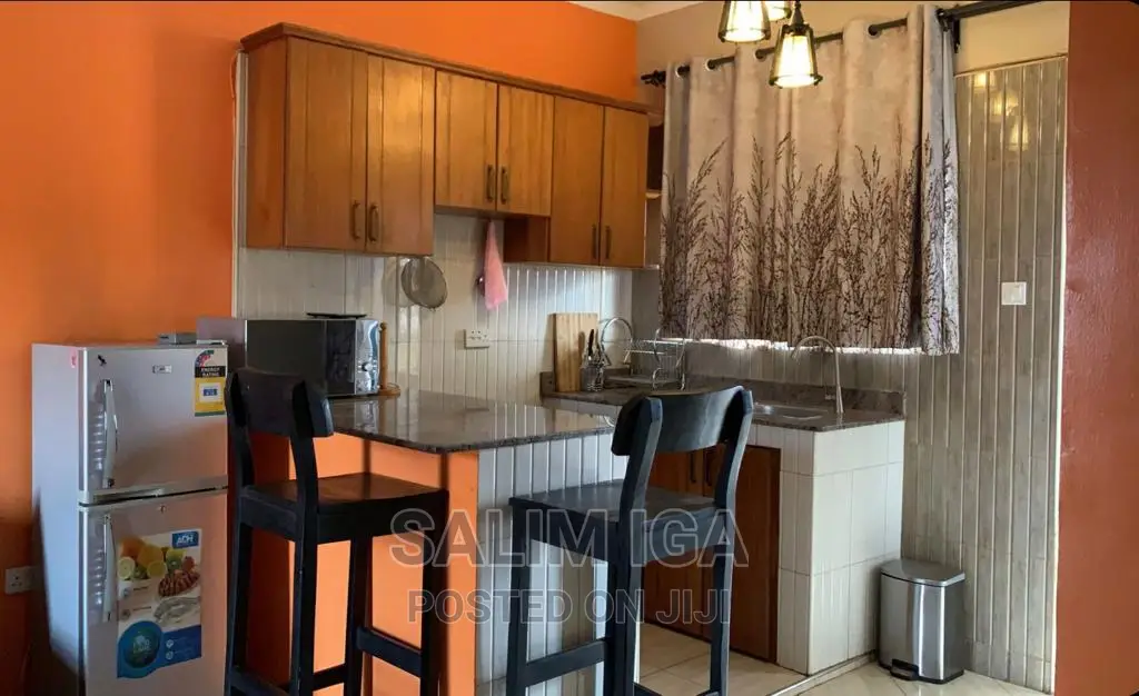Furnished 1bdrm Block of Flats in Kololo Property, Central Division
