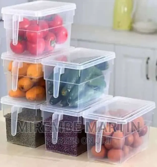 Kitchen Fridge Storage Containers