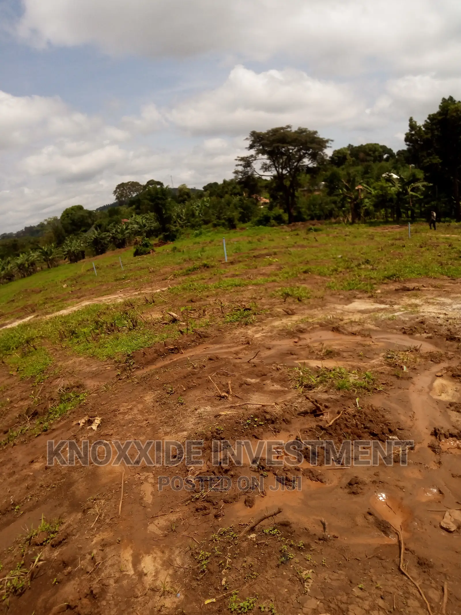 Land for Sale One Acre at 40m Ugx Muduma Mitiyana Near Road