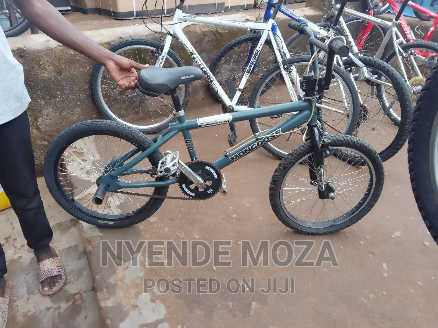 Mongoose Standard Bike
