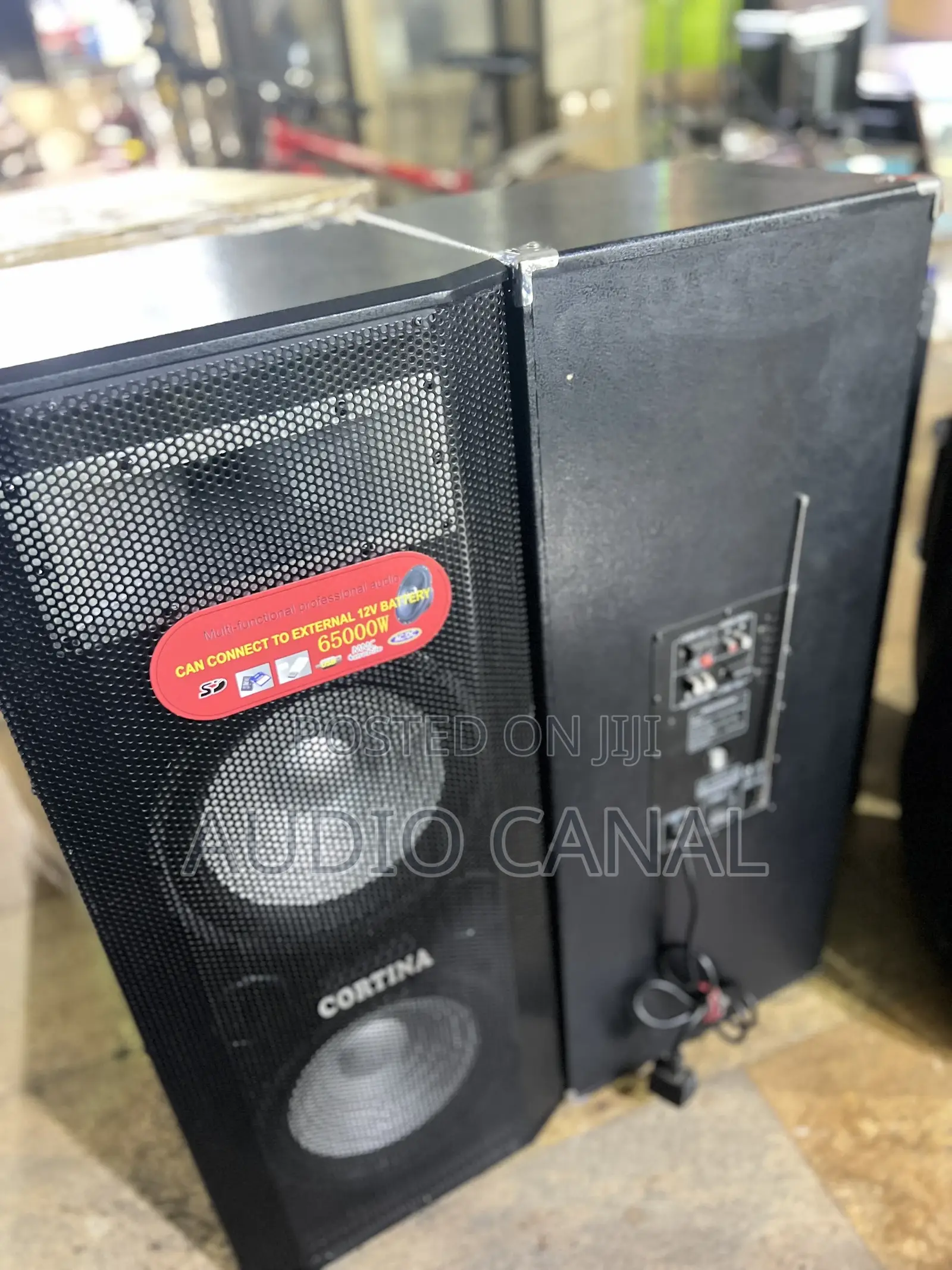 Cotina 12” Double Speakers