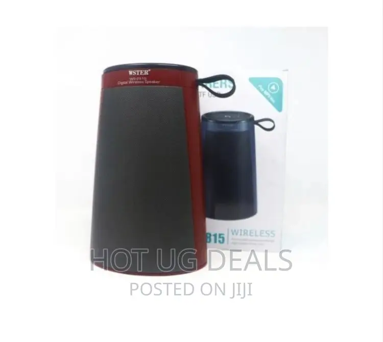 Wster WS 2815 Powerful Bluetooth Speaker With Fm- Black