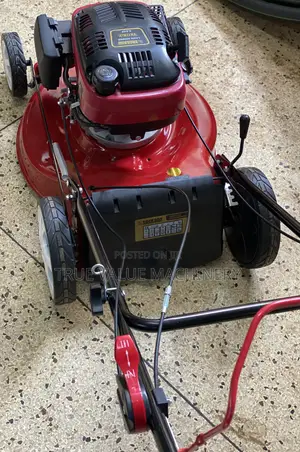 Gasoline Mower Heavy Duty 6 Hp