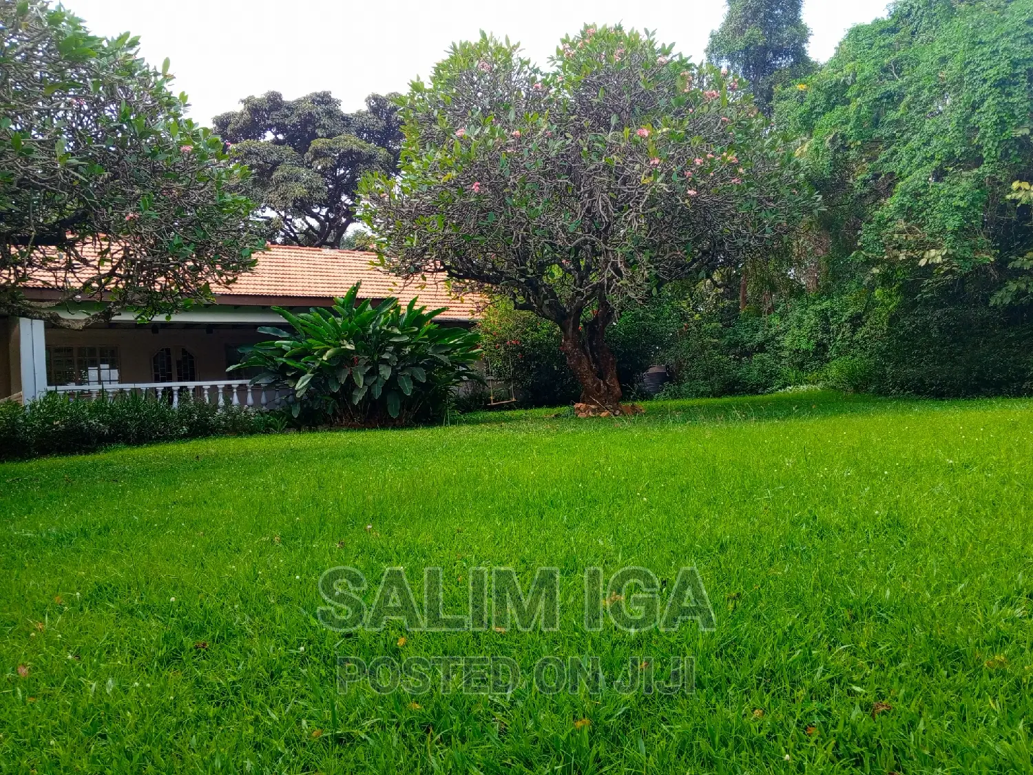 4bdrm Bungalow in Kololo Property, Central Division for rent