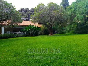 4bdrm Bungalow in Kololo Property, Central Division for rent