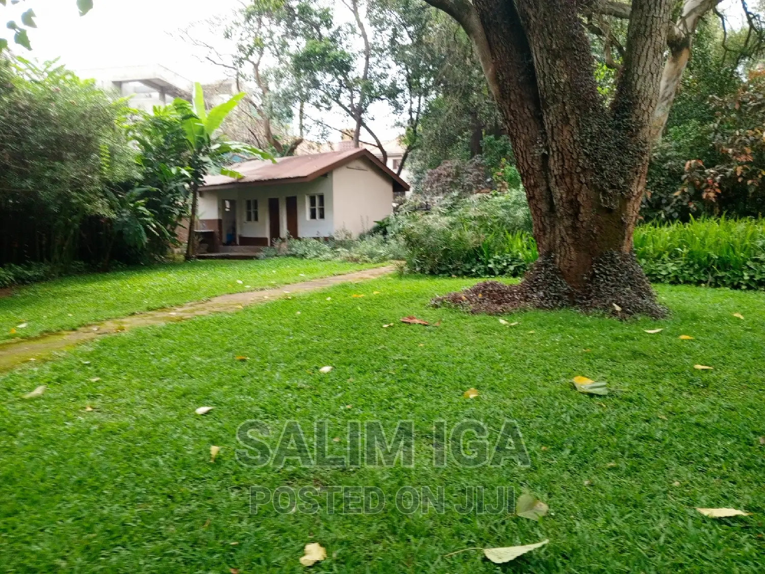 4bdrm Bungalow in Kololo Property, Central Division for rent