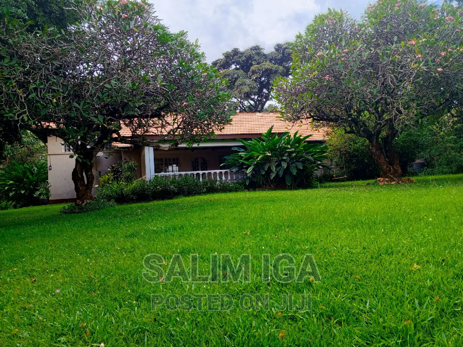 4bdrm Bungalow in Kololo Property, Central Division for rent