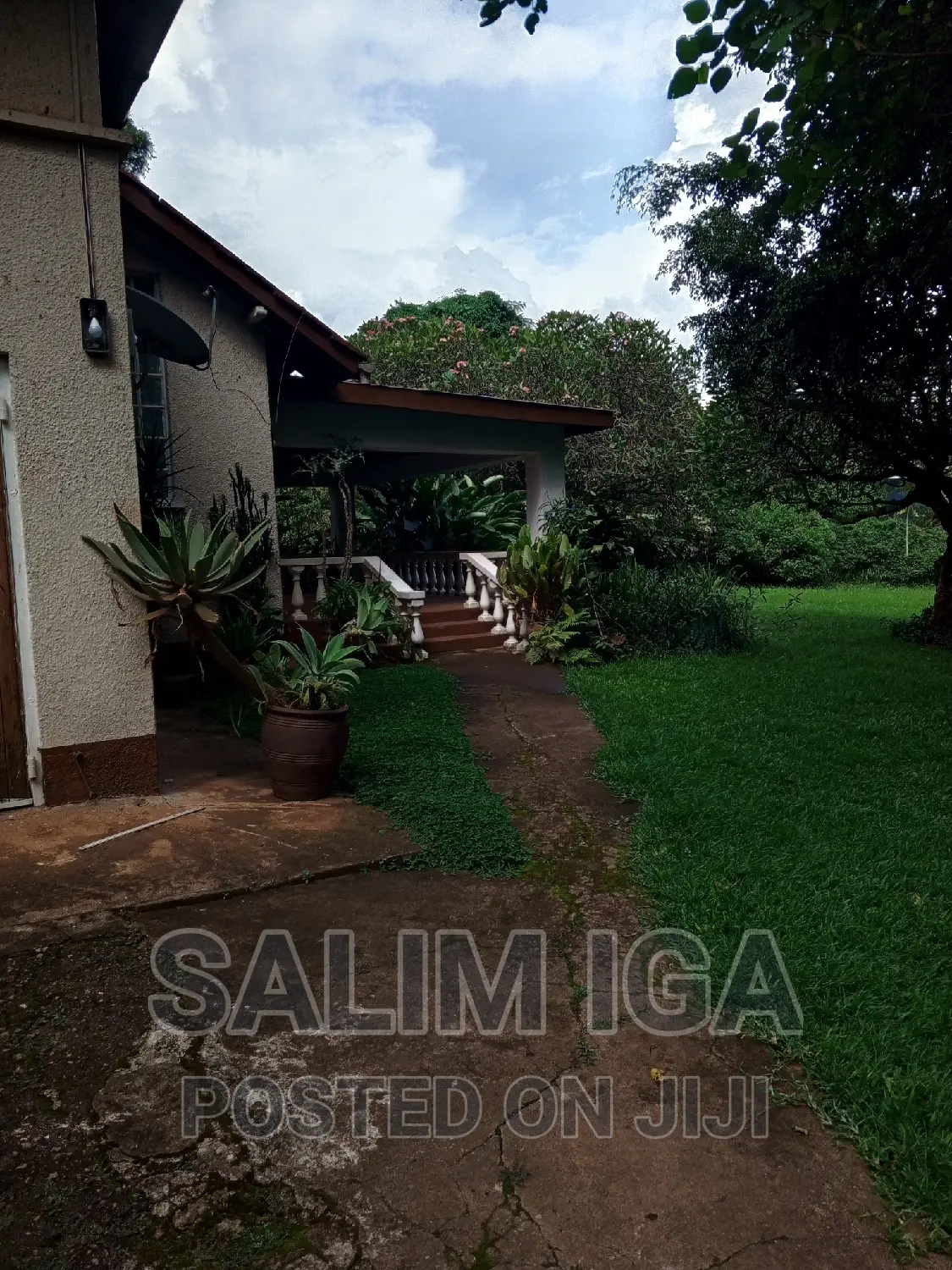 4bdrm Bungalow in Kololo Property, Central Division for rent