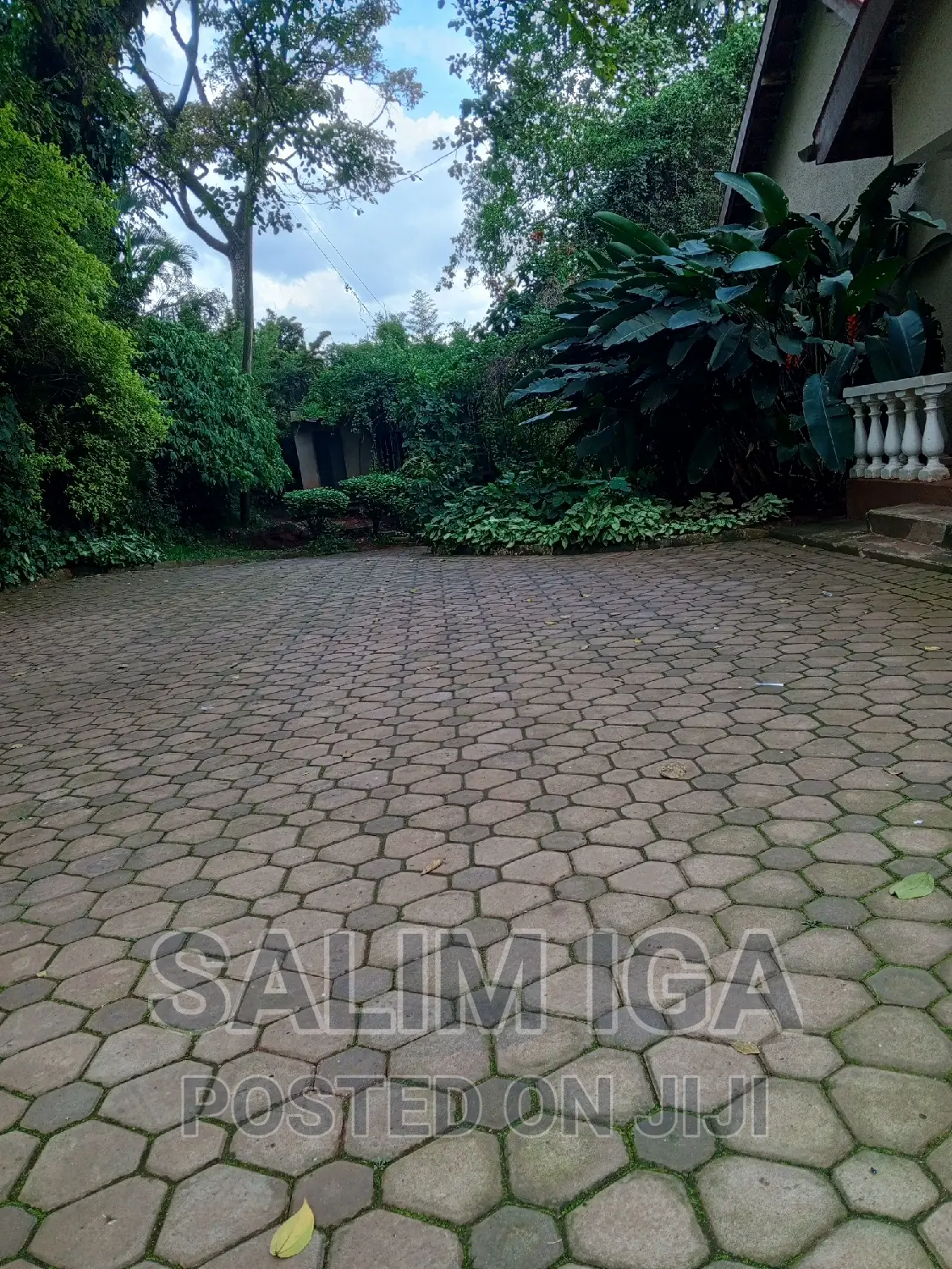 4bdrm Bungalow in Kololo Property, Central Division for rent