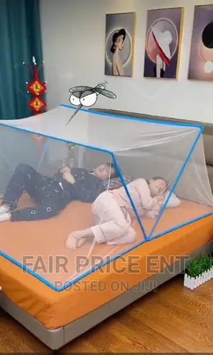 Foldable Free Set Mosquito Net.5x6.( Blue)