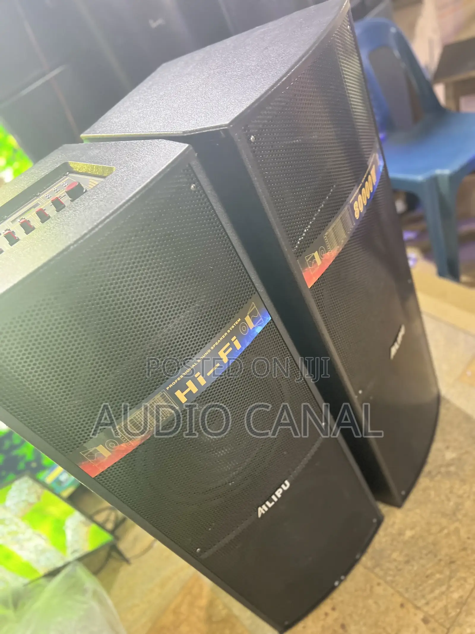Alipu 12”X2 Double Full Range Speakers