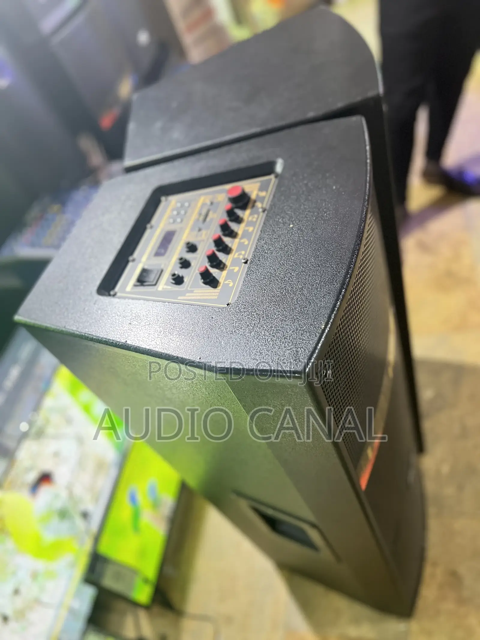 Alipu 12”X2 Double Full Range Speakers