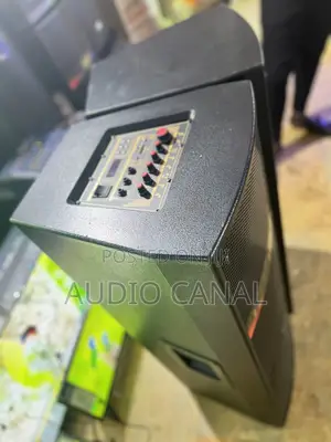 Alipu 12”X2 Double Full Range Speakers