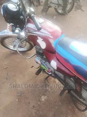Indian 841 2021 Red