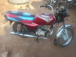 Indian 841 2021 Red