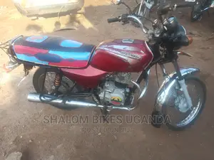 Indian 841 2021 Red