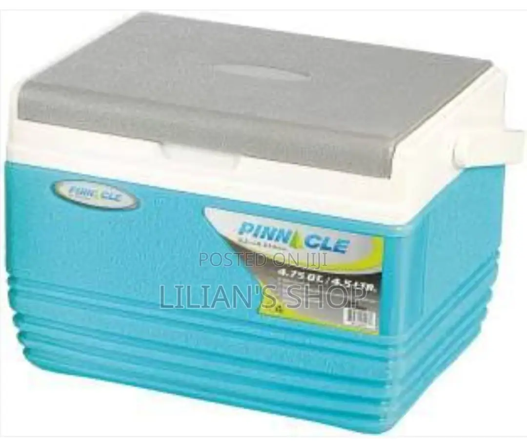 Pinnacle Ice Cooler Box With Soft Handle 4.5litres