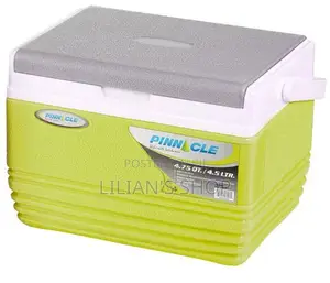 Pinnacle Ice Cooler Box With Soft Handle 4.5litres