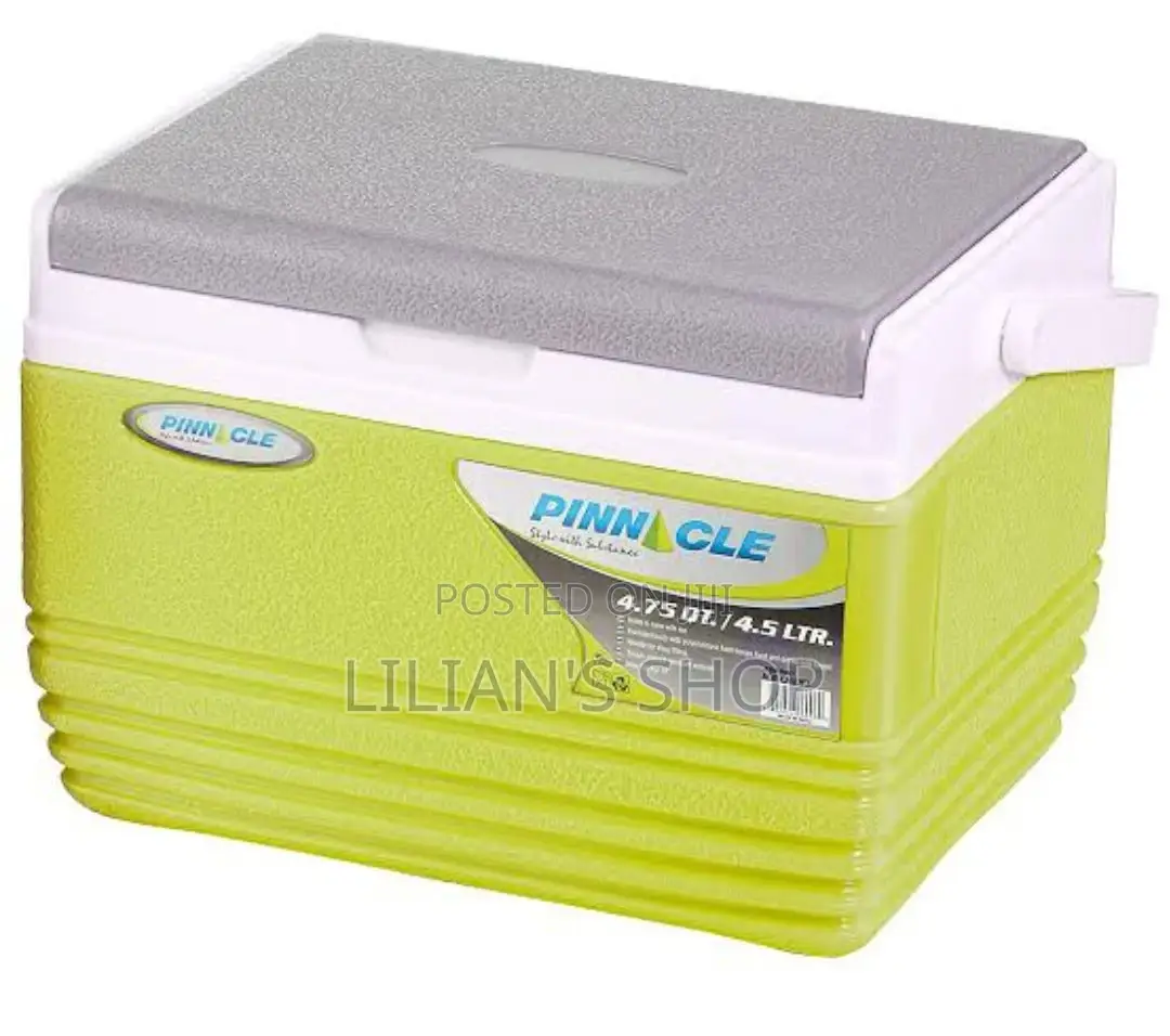 Pinnacle Ice Cooler Box With Soft Handle 4.5litres