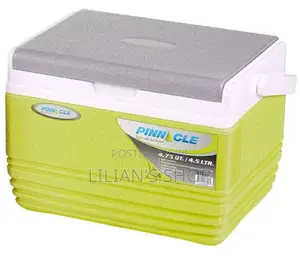 Pinnacle Ice Cooler Box With Soft Handle 4.5litres
