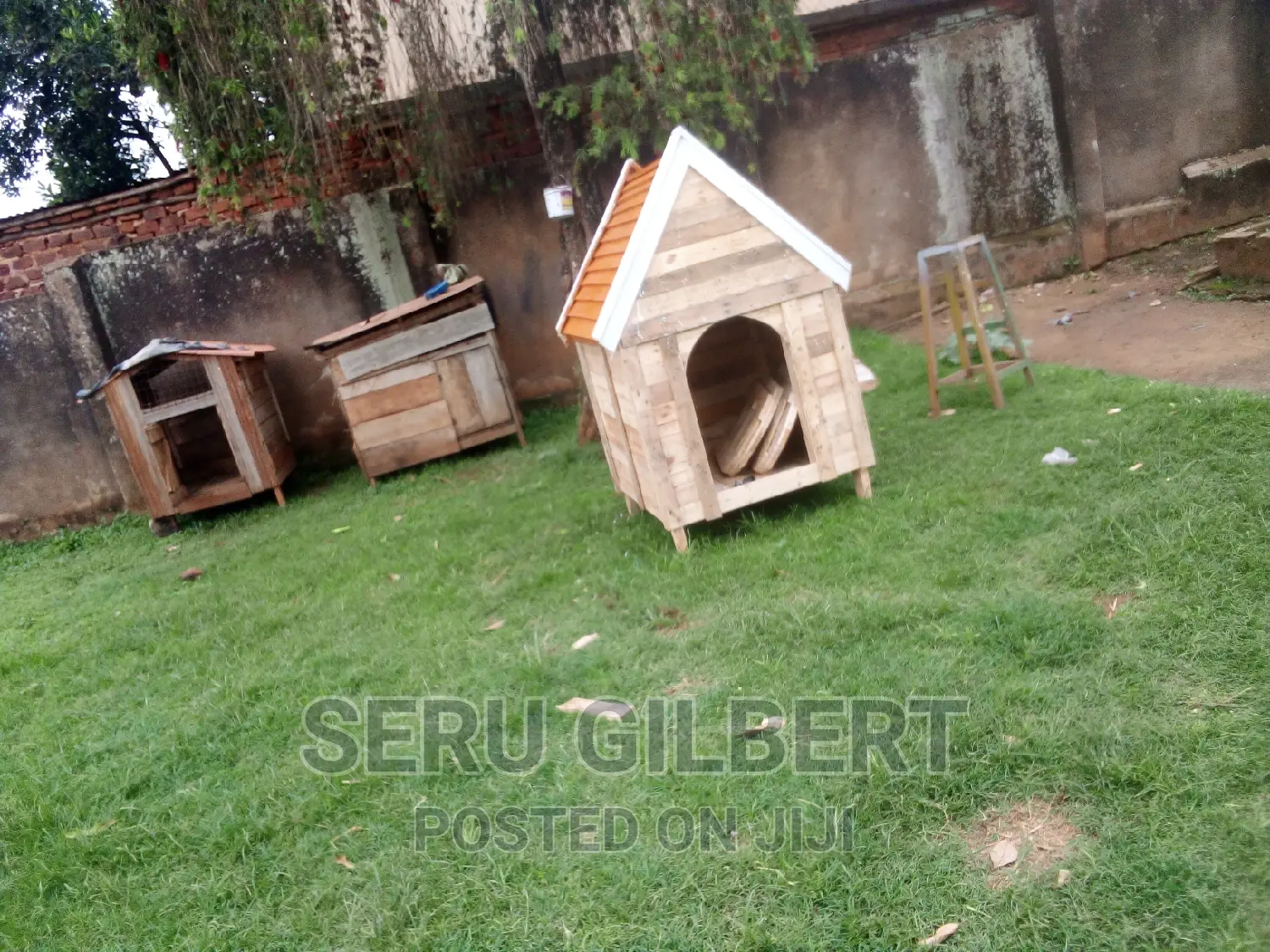 Bcghbbvcc. Nice Dog House