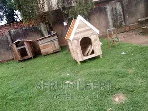 Bcghbbvcc. Nice Dog House