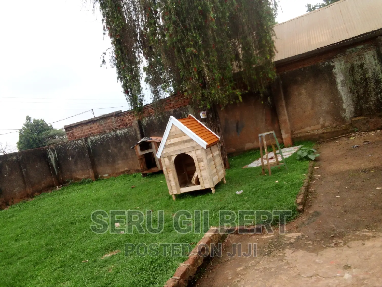 ZXVFFF Dog House Avalible