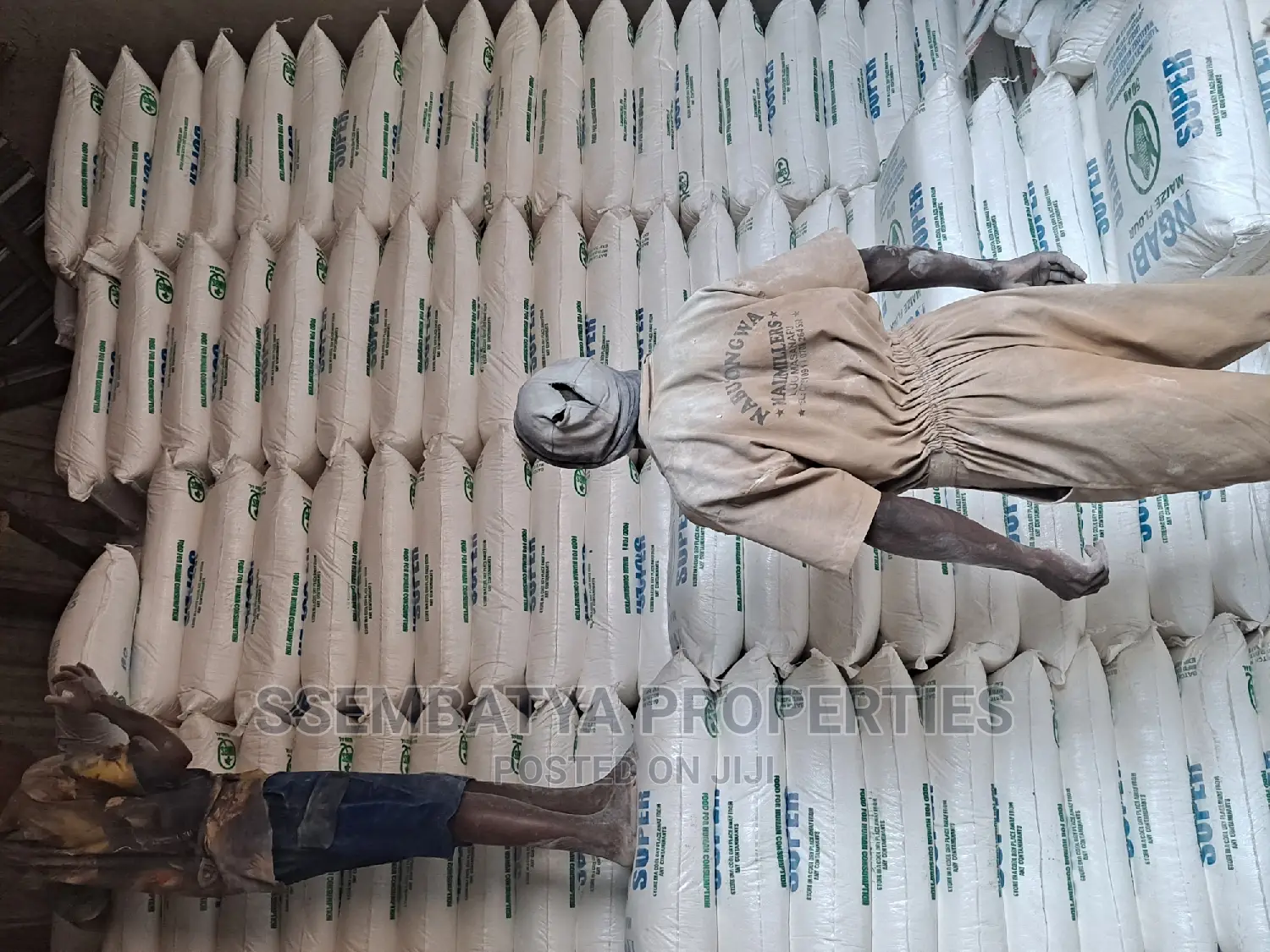 Flour for Maize