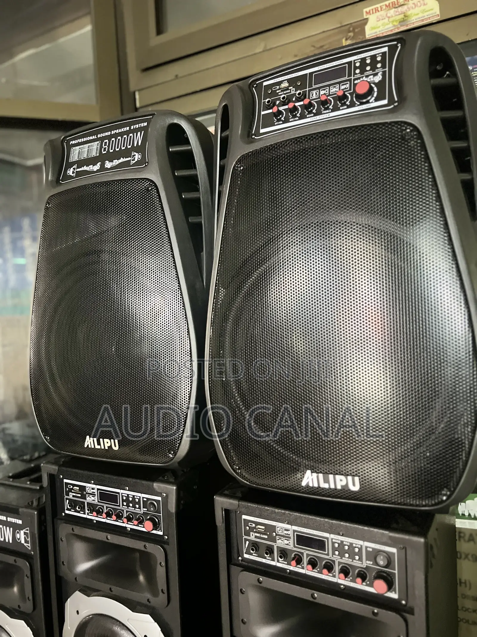 Alipu Doubled 12” 800000 Amplified Speakers