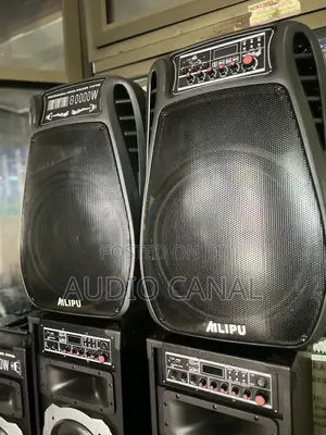 Alipu Doubled 12” 800000 Amplified Speakers