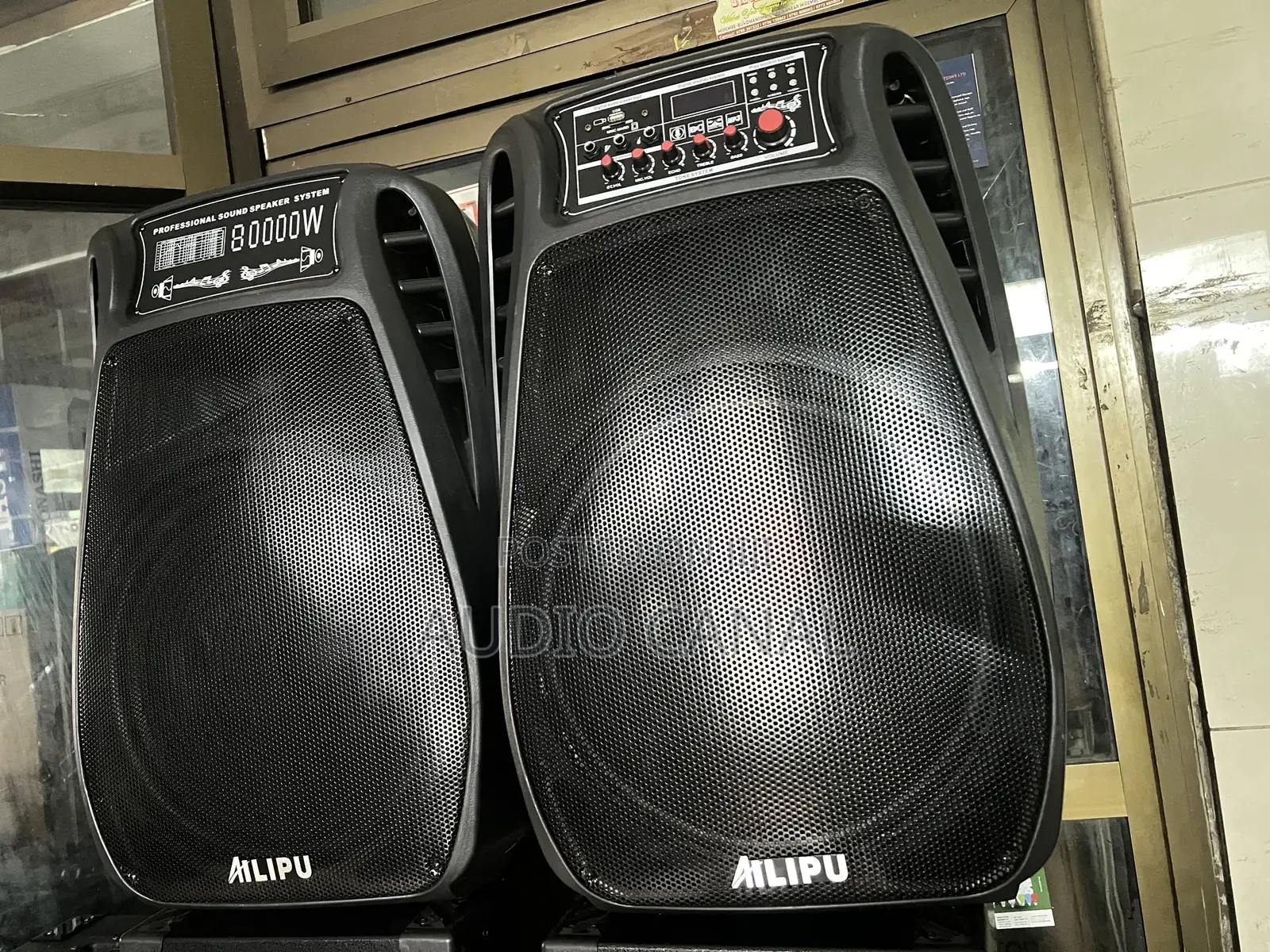 Alipu Doubled 12” 800000 Amplified Speakers