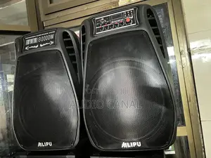 Alipu Doubled 12” 800000 Amplified Speakers