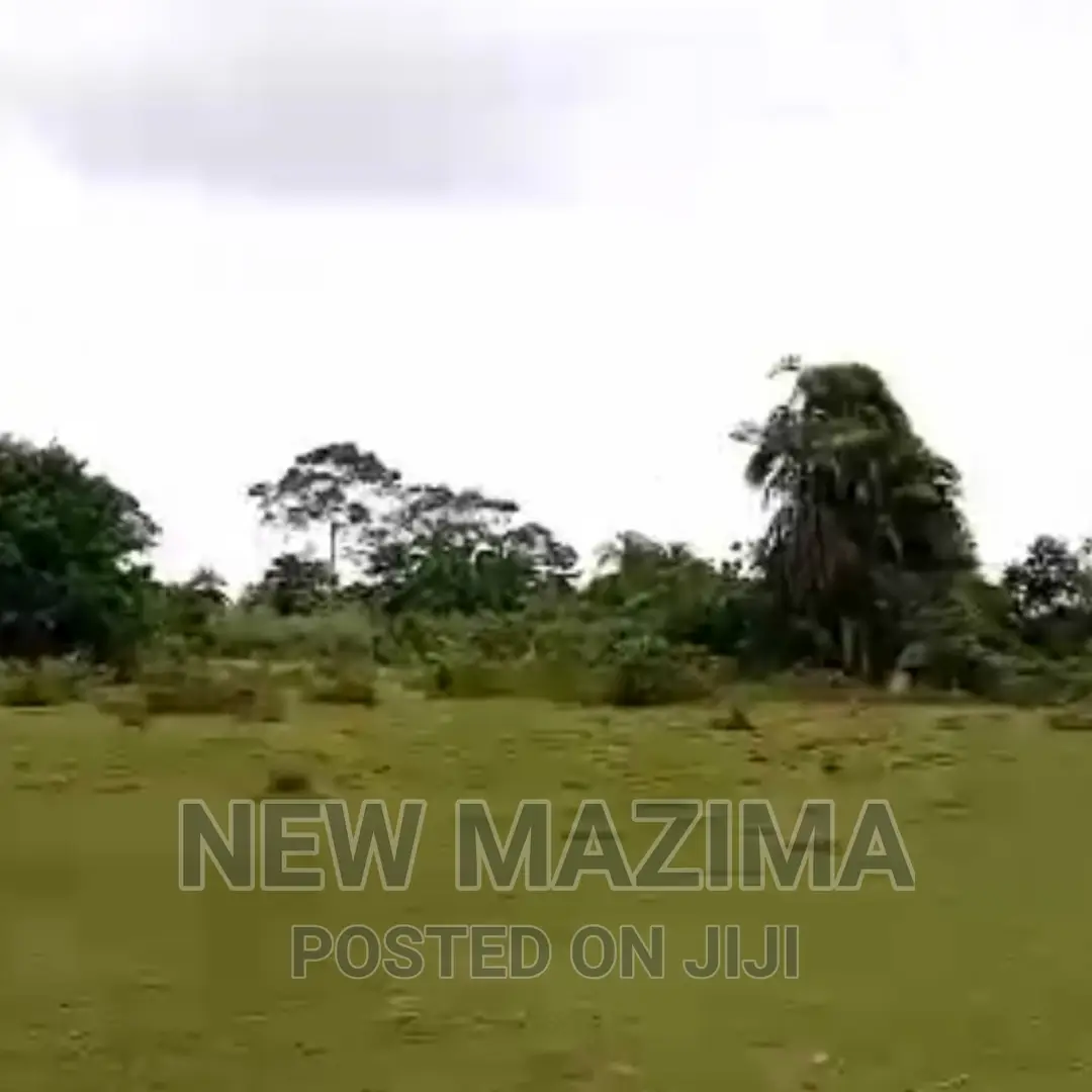 Very Strategic 80 Acres Onquicksale Masaka Kalisizo Kakyanga
