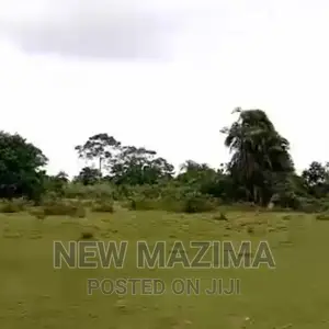 Very Strategic 80 Acres Onquicksale Masaka Kalisizo Kakyanga
