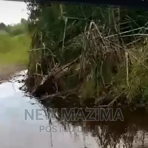 Very Strategic 80 Acres Onquicksale Masaka Kalisizo Kakyanga
