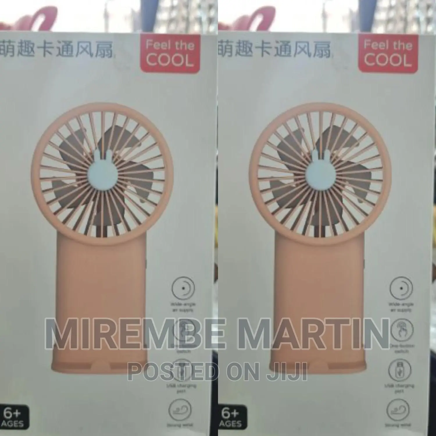 Portable Cooler Fan