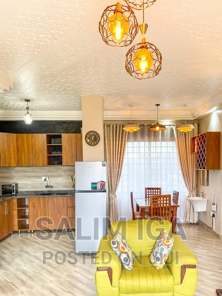 Furnished 1bdrm Block of Flats in Kololo Property, Central Division