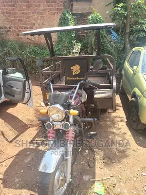 Tricycle Ihemas 2022 Brown