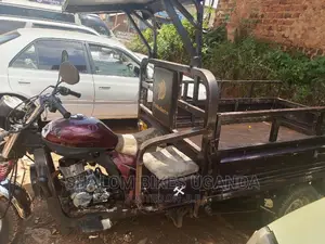 Tricycle Ihemas 2022 Brown