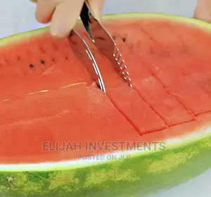 Stainless Steel Watermelon Slicer